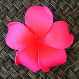Blüten Kunstblumen Lilawadee Rachawadee weinrot 6 Stück
