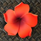 Blüten Kunstblumen Lilawadee Rachawadee Dunkelrot 6 Stück