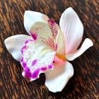 Flowers artificial orchid white purple
