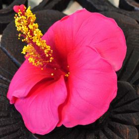 Flowers artificial hibiscus red