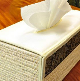 Handkerchief box raffia white elephant pattern