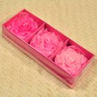 Candles roses blossoms in decorative strongbox pink