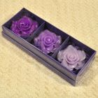 Candles roses blossoms in decorative strongbox violet