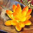 Wasserlilie Blüte Lotus Kunstblume Orange 8cm