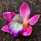 Blüten Kunstblumen Orchidee Violett